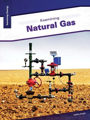 cover image of Examining Natural Gas